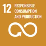 United Nations Sustainable Development Goal 12: Responsible Consumption and Production